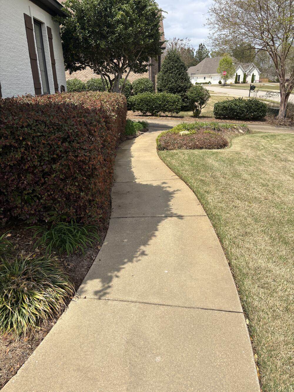 A curved front walkway after cleaning, the concrete an even pale tan from edge to edge