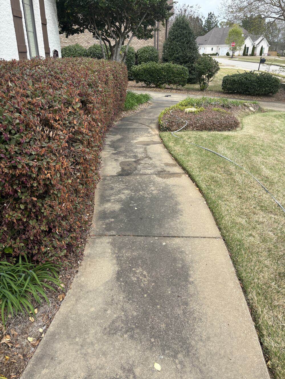 The same curved walkway before cleaning, grey and blotched with organic growth
